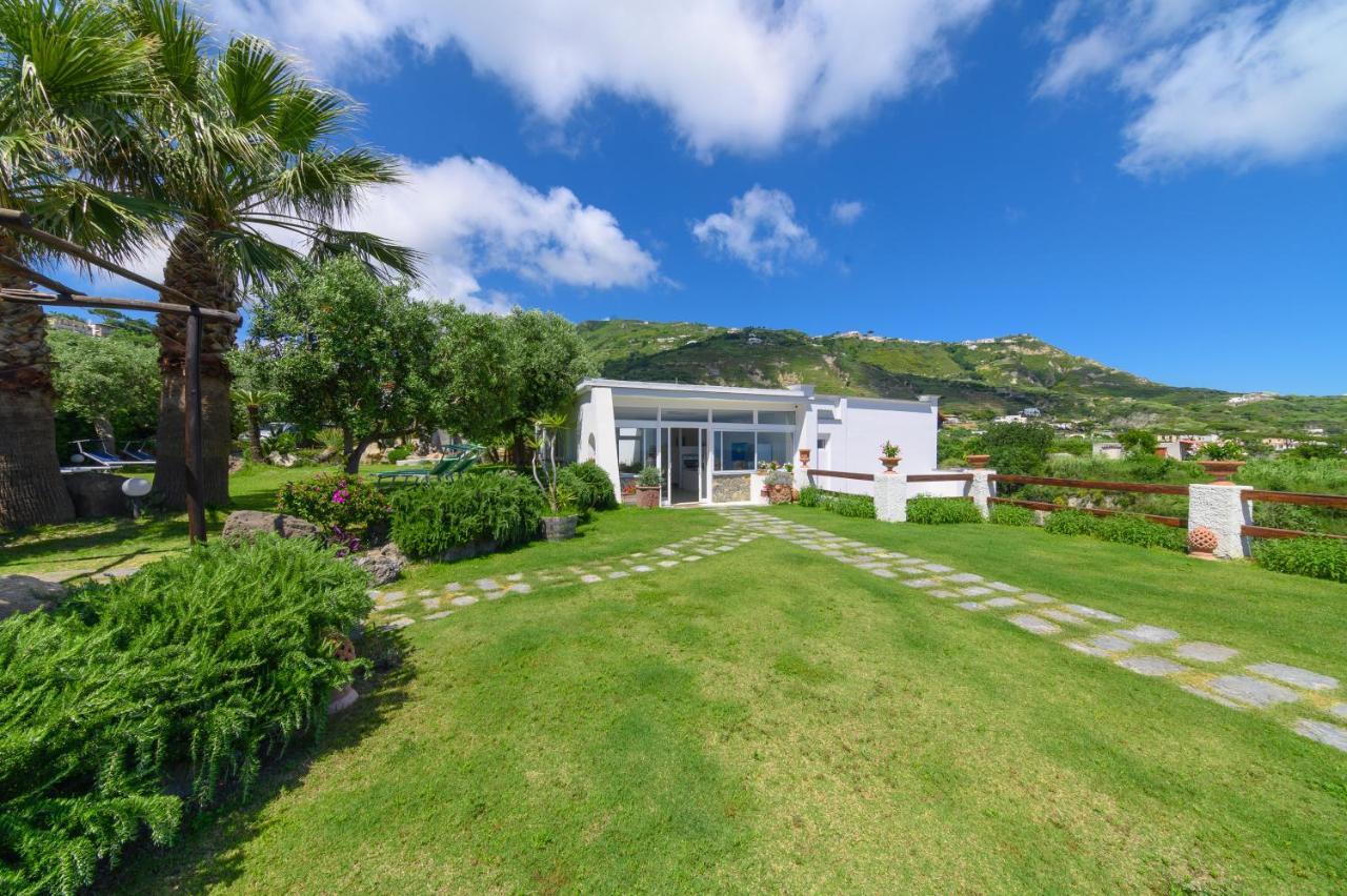Sorgeto Garden Bed and Breakfast Forio di Ischia Eksteriør billede