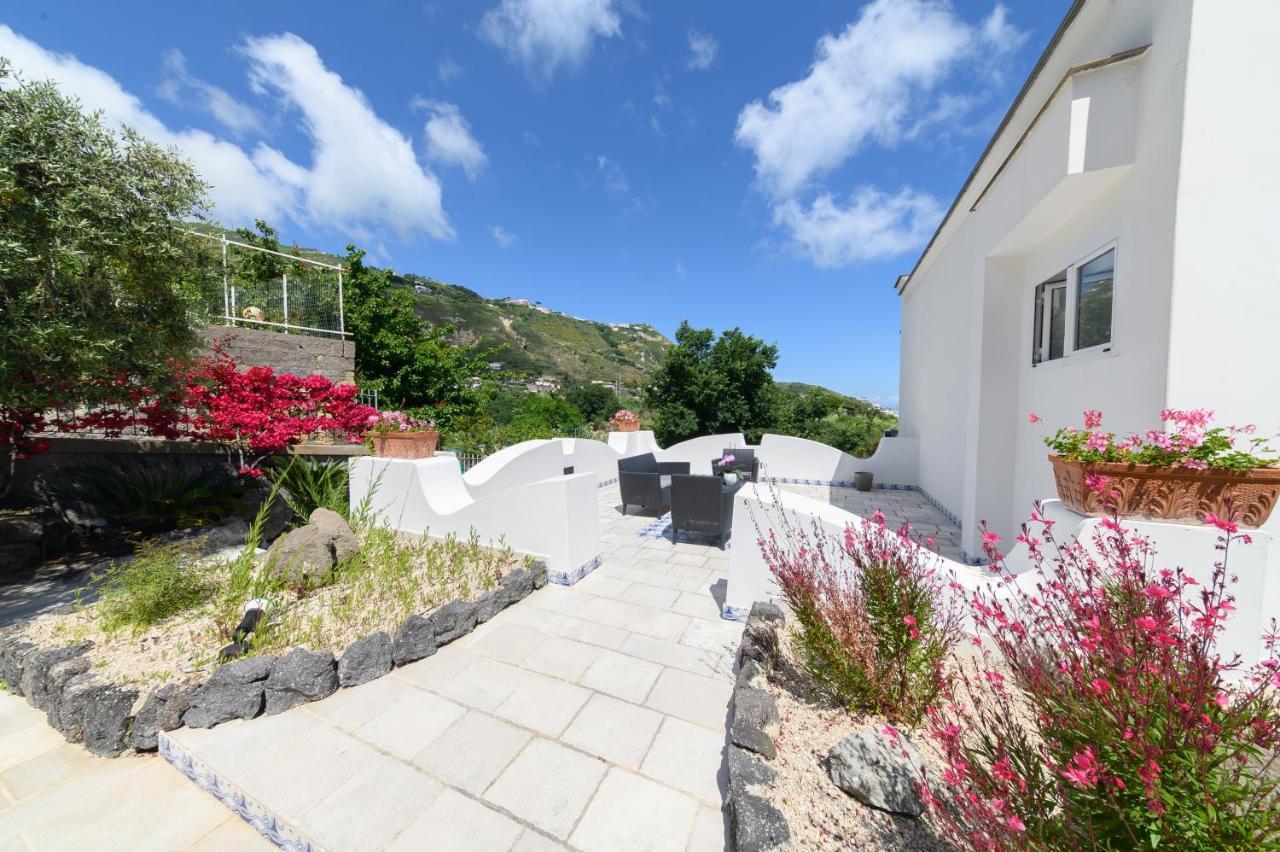 Sorgeto Garden Bed and Breakfast Forio di Ischia Eksteriør billede
