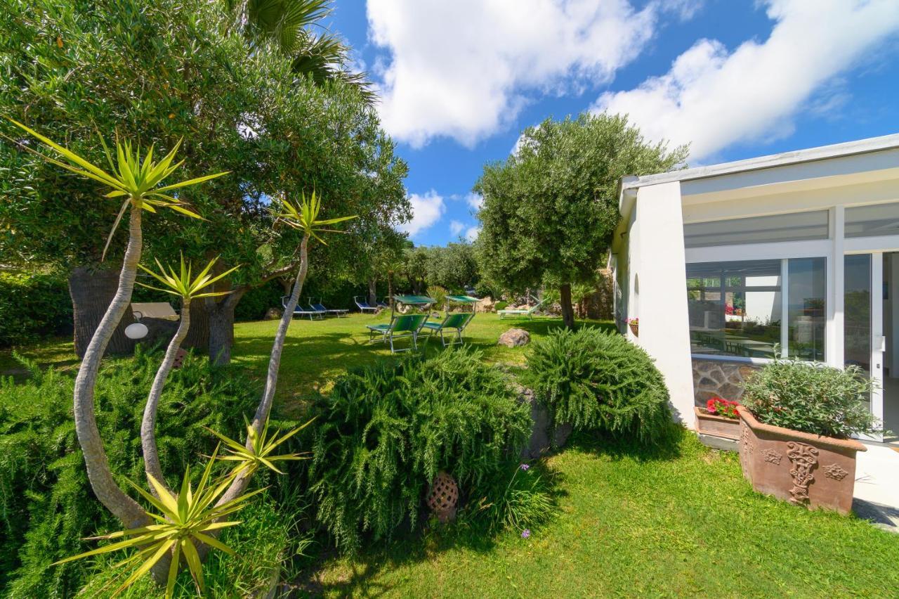Sorgeto Garden Bed and Breakfast Forio di Ischia Eksteriør billede